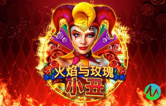 55世纪官网首页